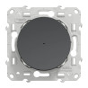 Wiser Odace - bouton poussoir - 10A - zigbee - anthracite