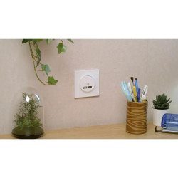 Odace - prise USB double - type A+C - blanc - 5 Vcc - 2,4A