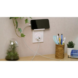 Odace Styl Pratic - plaque support téléphone mobile 1 poste blanc