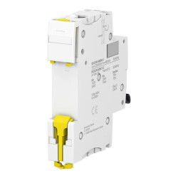 Acti9 iC60N - Disjoncteur - 1P - 10A - Courbe D - 230Vca - 6000A/10kA