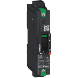 PowerPact B - disjoncteur BD - 18kA 347V - TM15D - 1P - Everlink