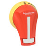 TeSys GS - Poignee ext front 30-60a 3r,12 rouge