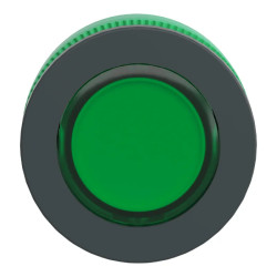 Harmony XB5 - tête bouton poussoir à impulsion - flush - pour étiq - vert