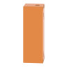 Boite métal vide orange - M25 x1 - 4 trous 30 mm - 80x220x77 mm